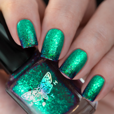 The King and The Pirate