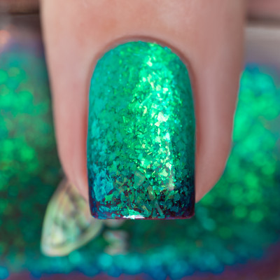 The King and The Pirate