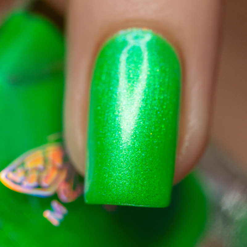 Gummy