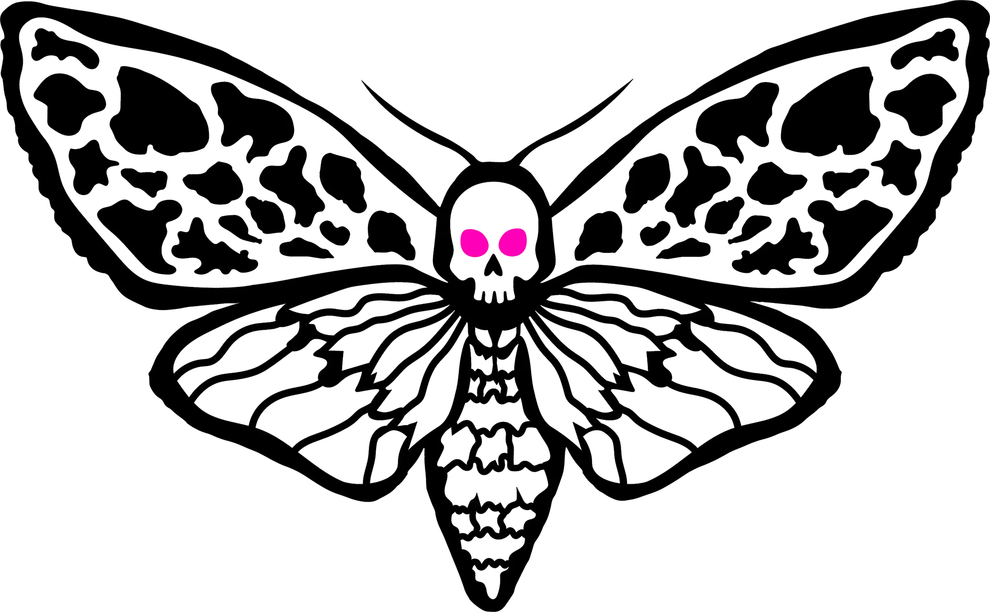 MOTH.FUN