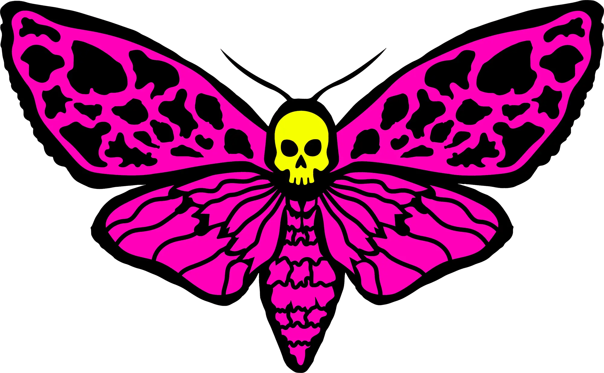 MOTH.FUN