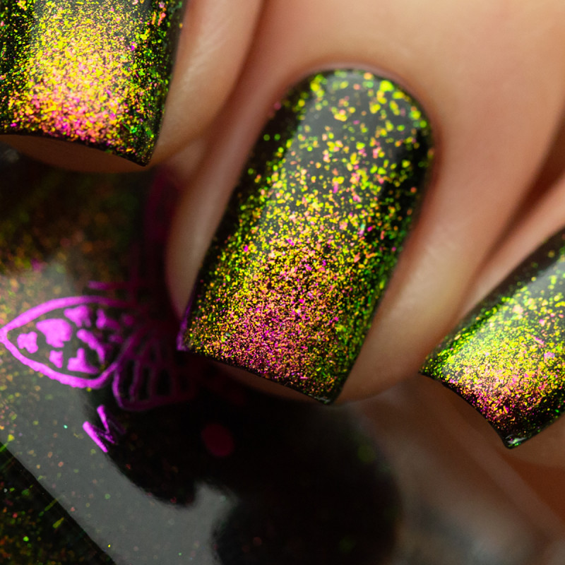 Cassiopeia