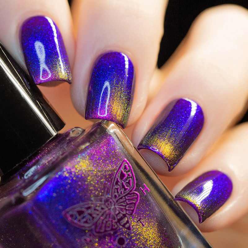 Death’s-Head Hawkmoth