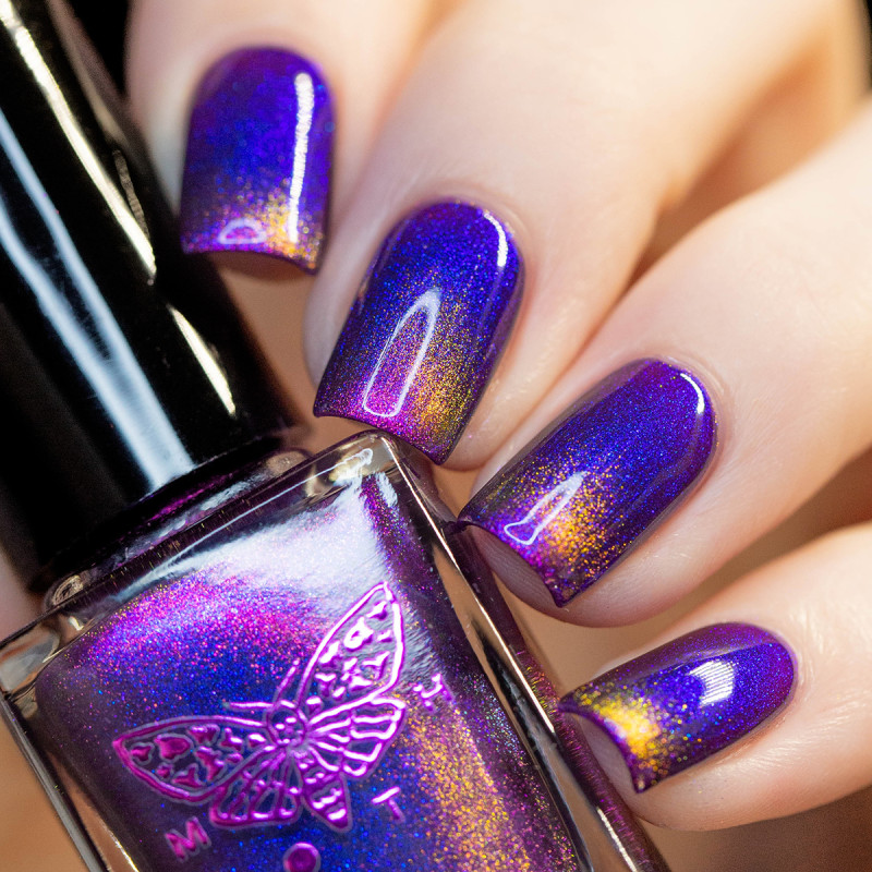 Death’s-Head Hawkmoth