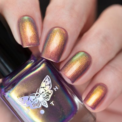 New Year’s Eve Show