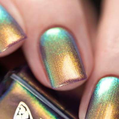 New Year’s Eve Show